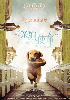 现代小说之父
